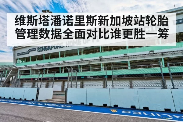 维斯塔潘诺里斯新加坡站轮胎管理数据全面对比谁更胜一筹